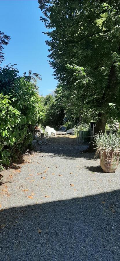 Les Glycines, Charmant Studio Au Calme Dans Batisse De Maitre Proche Du Centre Ville Parking Gratuit Digne-les-Bains Eksteriør billede