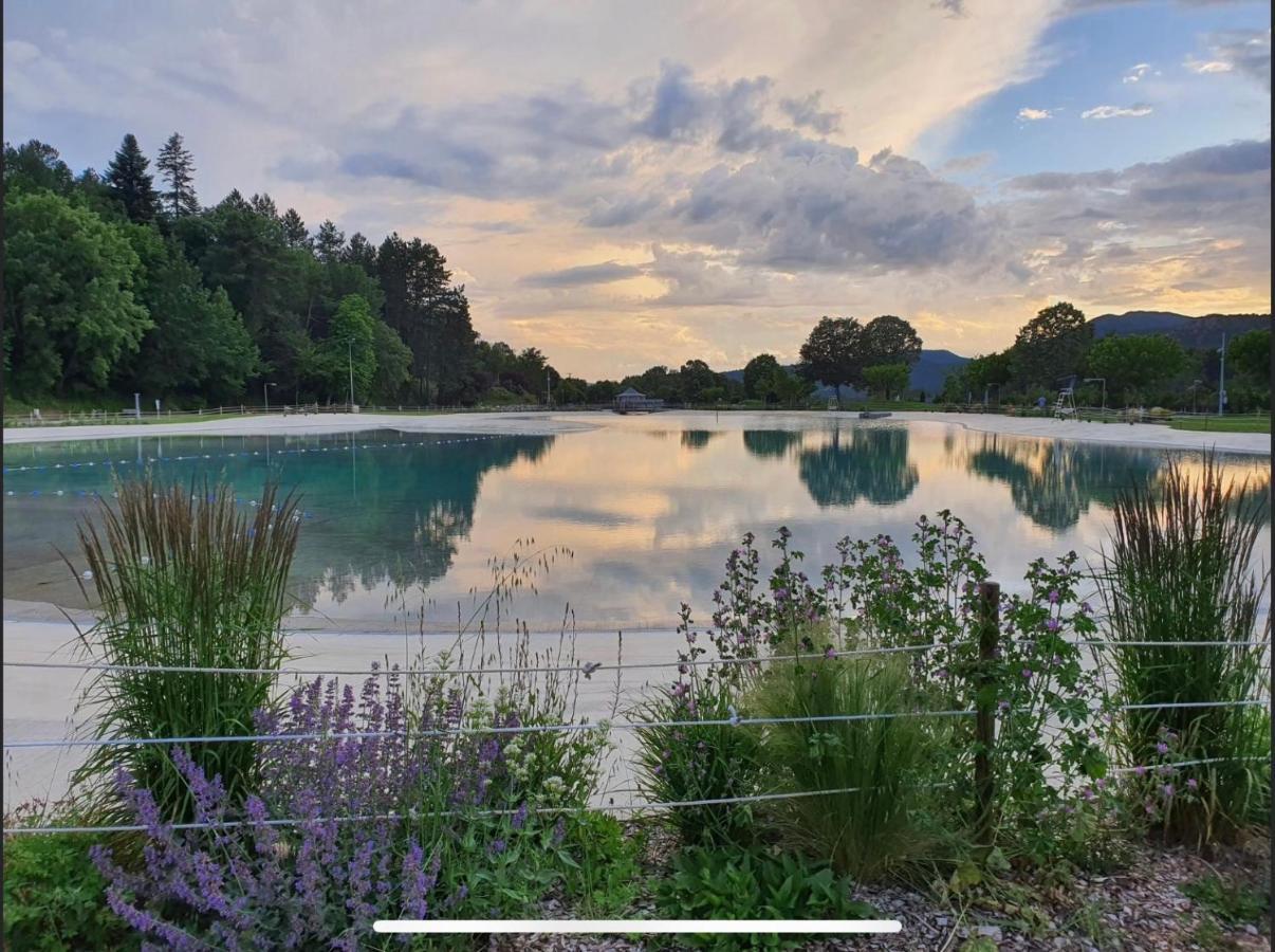 Les Glycines, Charmant Studio Au Calme Dans Batisse De Maitre Proche Du Centre Ville Parking Gratuit Digne-les-Bains Eksteriør billede